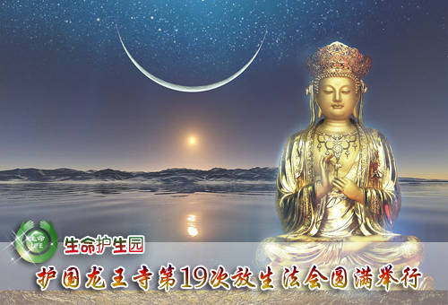 【放生法会0001】--.jpg
