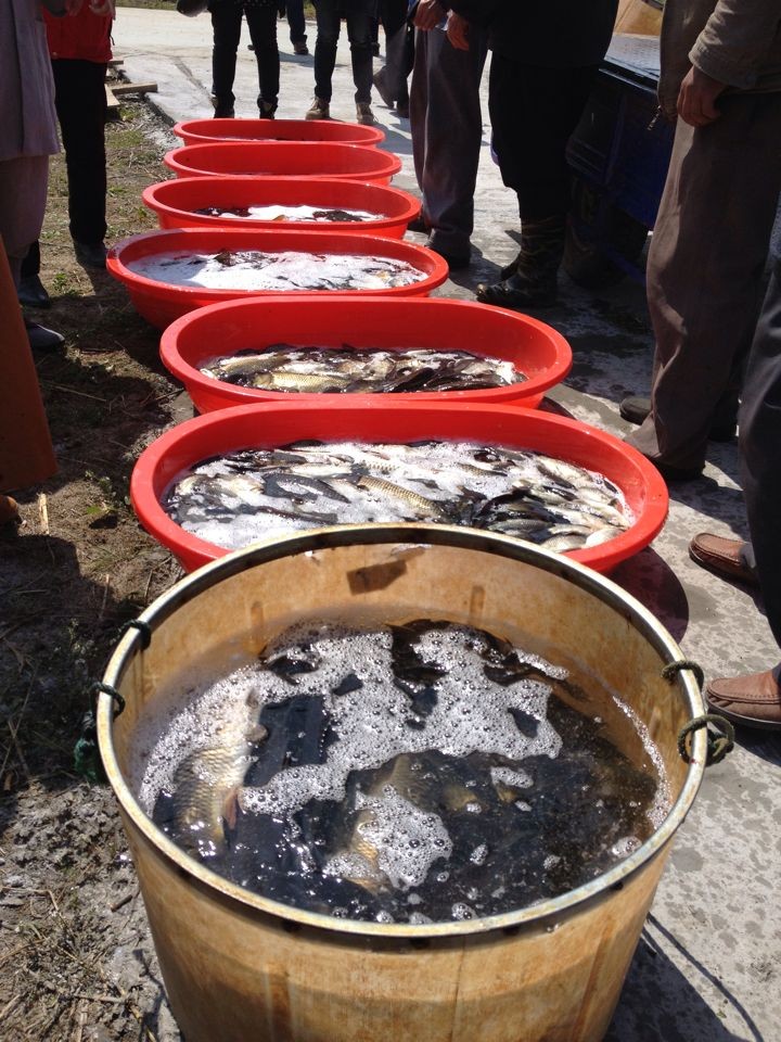 QQ图片20140402162837.jpg