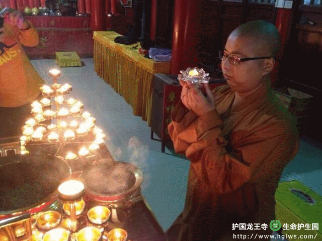 QQ图片20141013093525_副本.gif