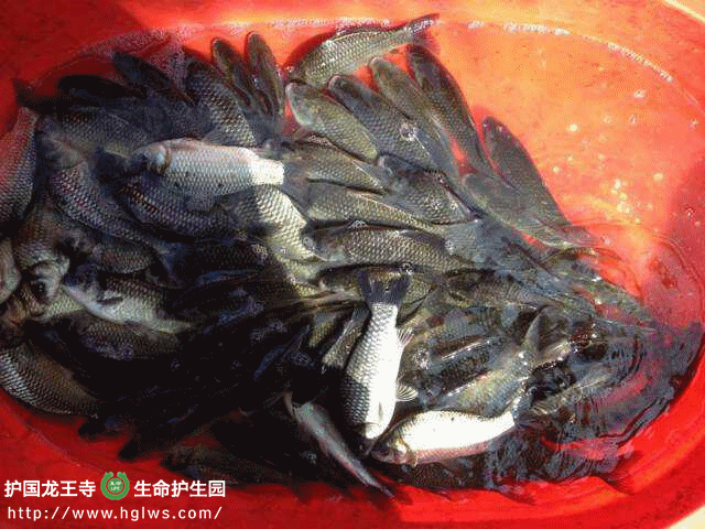 mmexport1413091134982_副本.gif