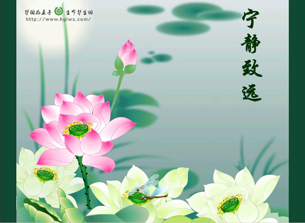 op_副本.jpg