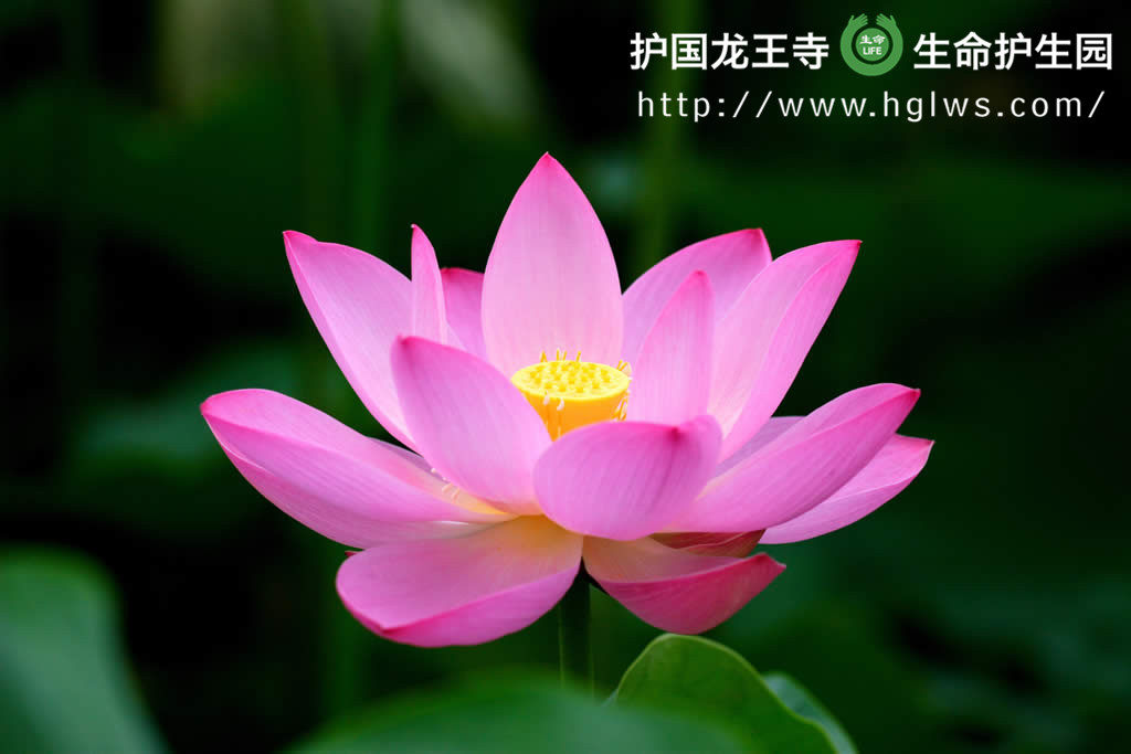 w_副本.jpg