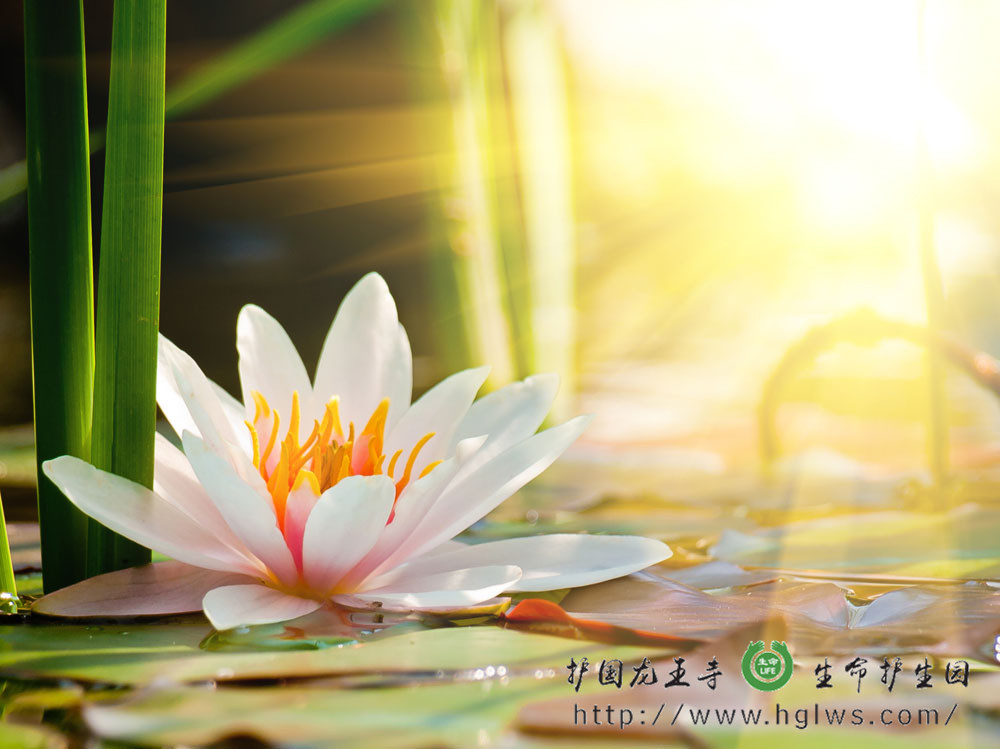 i_副本.jpg