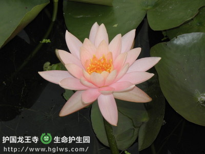e_副本.jpg