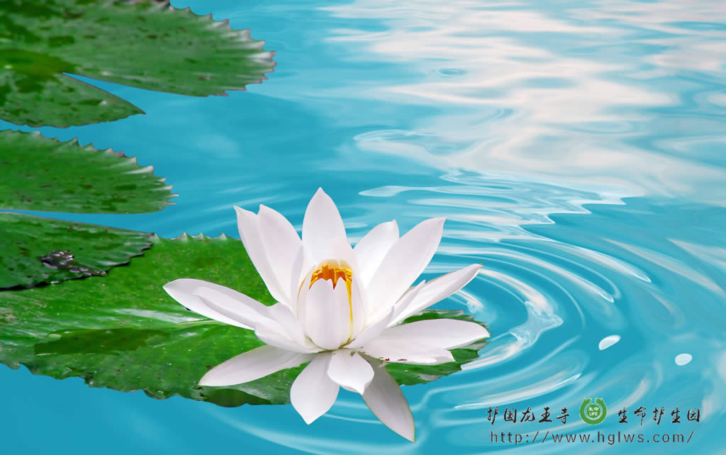 9_副本.jpg