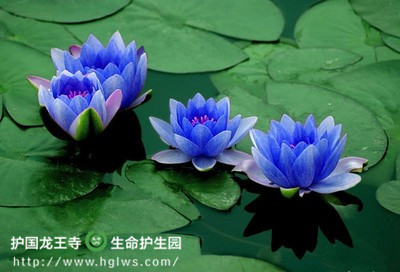 u_副本.jpg
