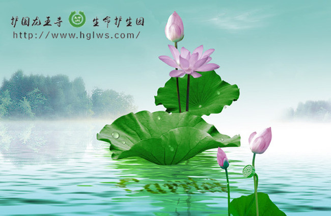 33b1OOOPICd8_副本.jpg