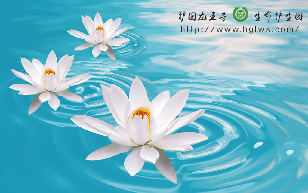 q_副本.jpg