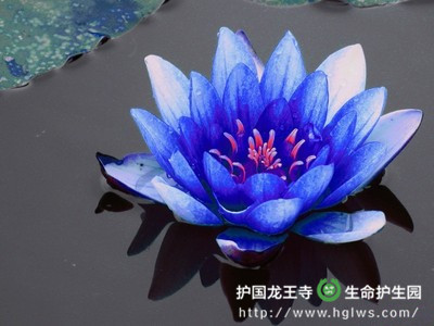 y_副本.jpg