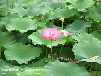 7_副本.jpg