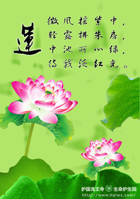 2_副本.jpg