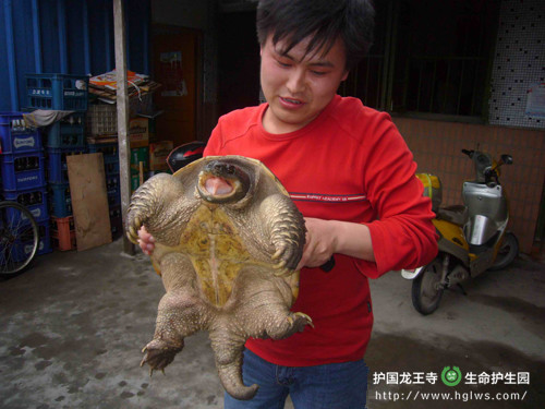 ggg_副本.jpg